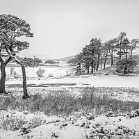 Buy canvas prints of A Frozen Land. by Garry Smith