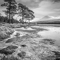 Buy canvas prints of Scots and Ice. by Garry Smith