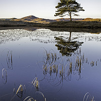 Buy canvas prints of Kelly Hall Tarn, Torver, Cumbria. by Garry Smith