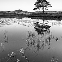 Buy canvas prints of Kelly Hall Tarn, Torver, Cumbria. by Garry Smith