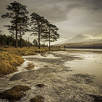 Buy canvas prints of Scots and Ice. by Garry Smith