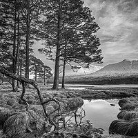 Buy canvas prints of Winter's View (mono) by Garry Smith