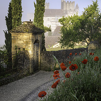 Buy canvas prints of Poppies at Chateua de Beynac by Garry Smith