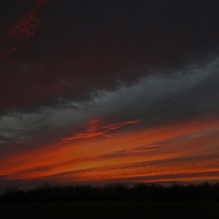 Buy canvas prints of Fenland Evening Sunset by Adrian Searle