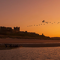 Buy canvas prints of Flypast at Bamburgh by Brian Avery