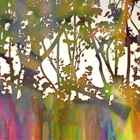 Buy canvas prints of Rainbow Trees by Ruta Naujokiene