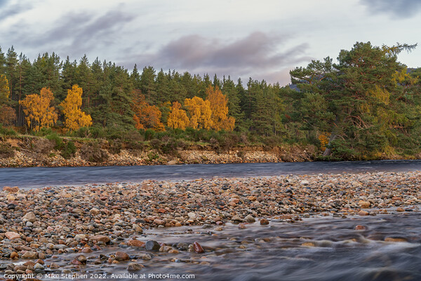 Autumn, River Dee Picture Board by Mike Stephen