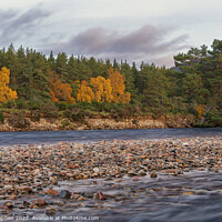 Buy canvas prints of Autumn, River Dee by Mike Stephen