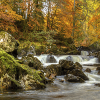 Buy canvas prints of Autumn, River Braan by Mike Stephen