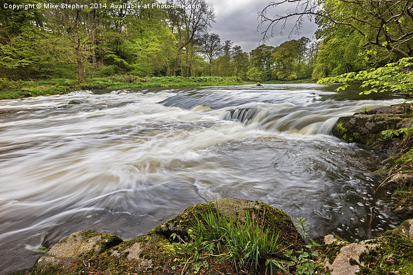 River Don at Woodside Picture Board by Mike Stephen
