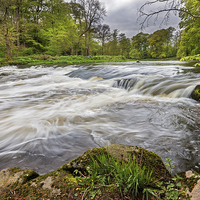 Buy canvas prints of River Don at Woodside by Mike Stephen