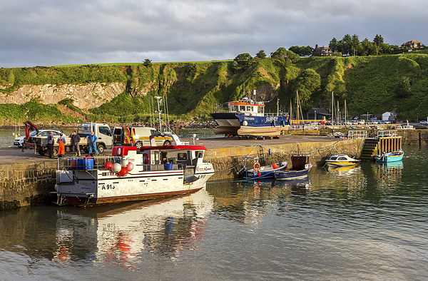 Stonehaven Harbour Picture Board by Mike Stephen