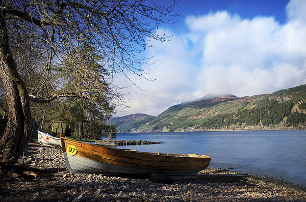  Loch Ness Shoreline Picture Board by Mike Stephen