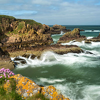 Buy canvas prints of Coastline, NE Scotland by Mike Stephen