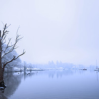 Buy canvas prints of Windermere Dawn by Mike Stephen