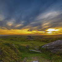 Buy canvas prints of Dartmoor Gold by Tracey Yeo