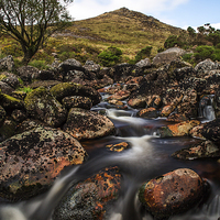 Buy canvas prints of Tavy Cleave by Tracey Yeo