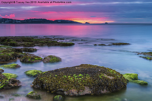 Sunrise over Torquay. Picture Board by Tracey Yeo