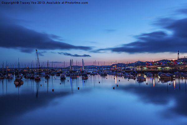 Torquay Harbour After Sunset. Picture Board by Tracey Yeo