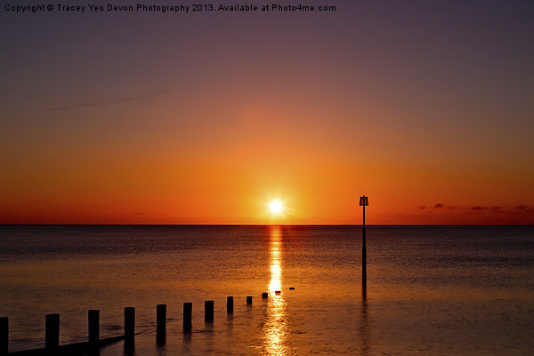 Teignmouth Beach Sunrise Picture Board by Tracey Yeo