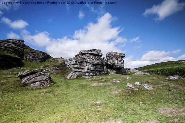 Bell Tor Dartmoor Picture Board by Tracey Yeo