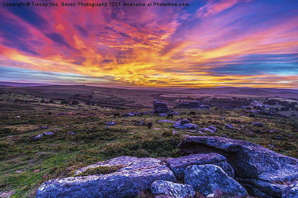 Saddle Tor Sunset Picture Board by Tracey Yeo