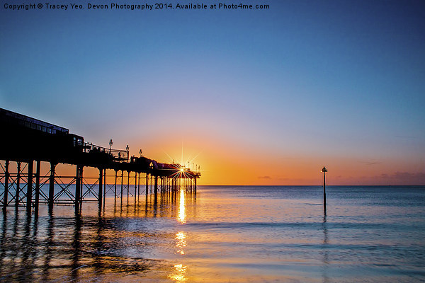 Teignmouth Pier Sunrise Picture Board by Tracey Yeo