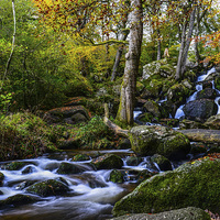 Buy canvas prints of Becky Falls by Tracey Yeo