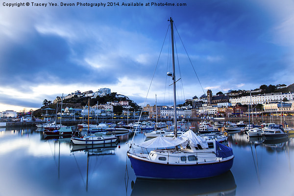 Torquay Harbour Blues Picture Board by Tracey Yeo
