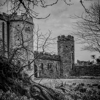 Buy canvas prints of Torre Abbey Torquay by Tracey Yeo