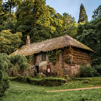 Buy canvas prints of Cockingtons gamekeepers cottage. by Tracey Yeo