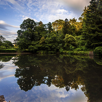 Buy canvas prints of Reflections In Cockington Lake by Tracey Yeo