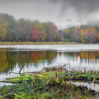 Buy canvas prints of Autumns Mist by Tracey Yeo