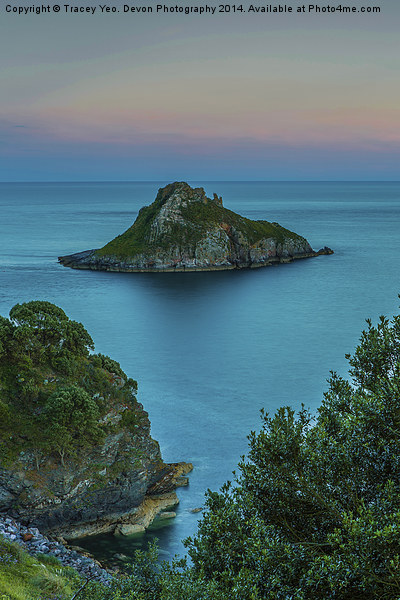  Thatcher Rock at Sunset. Picture Board by Tracey Yeo