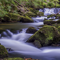 Buy canvas prints of Golitha Falls.  by Tracey Yeo