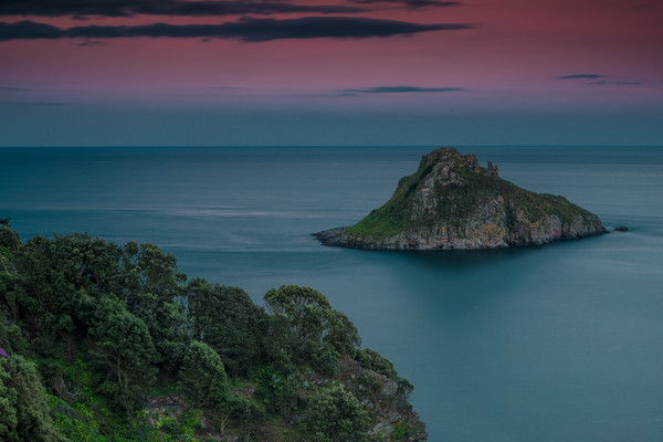 Thatcher Rock Torquay at Sunset  Picture Board by Tracey Yeo