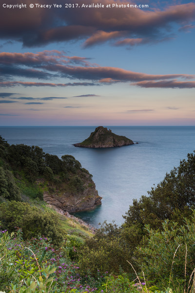 Thatcher Rock at Sunset  Picture Board by Tracey Yeo