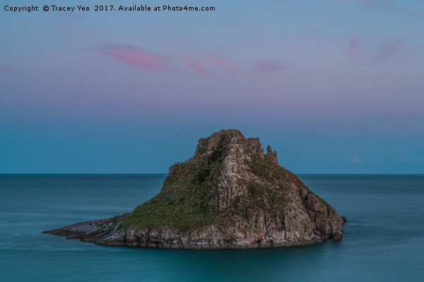 Thatcher Rock Torquay at Sunset   Picture Board by Tracey Yeo