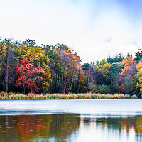 Buy canvas prints of Stover Country Park Lake by Tracey Yeo