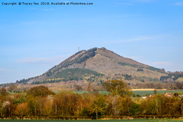 The Wrekin Picture Board by Tracey Yeo