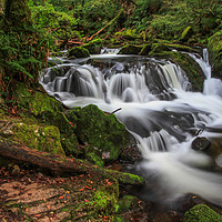 Buy canvas prints of Golitha Falls by Tracey Yeo