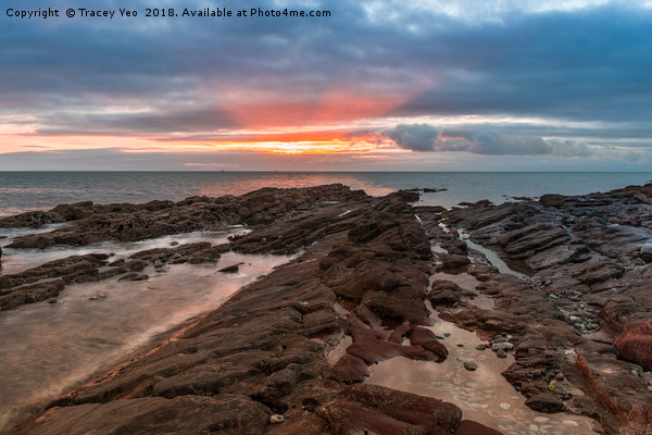 Shoalstone Sunrise. Picture Board by Tracey Yeo
