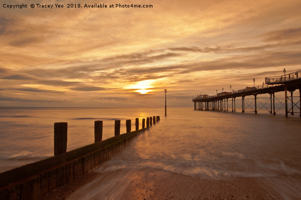 Teignmouth Pier Sunrise.  Picture Board by Tracey Yeo