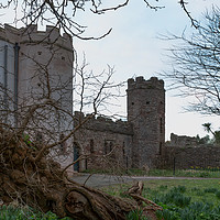 Buy canvas prints of Torre Abbey Torquay. by Tracey Yeo