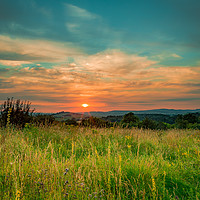 Buy canvas prints of Devon Sunset by Tracey Yeo