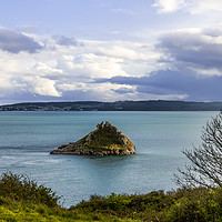 Buy canvas prints of Looking Across Torbay. by Tracey Yeo