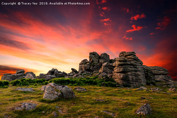 Hound Tor Sunset Canvas Print by Tracey Yeo