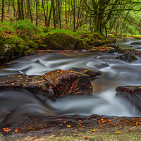 Buy canvas prints of Golitha Falls. by Tracey Yeo