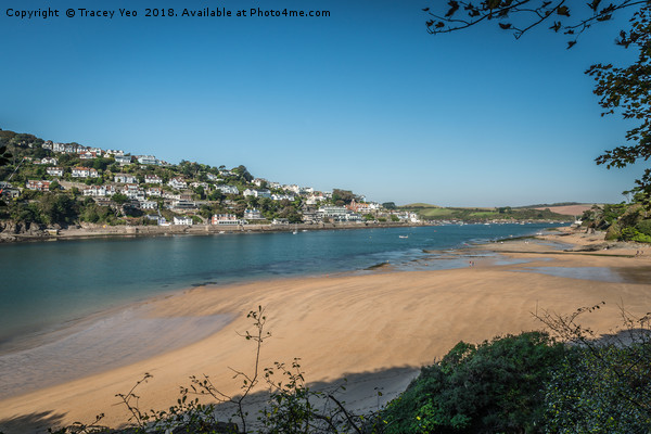 Salcombe Estuary From Mill Bay. Picture Board by Tracey Yeo