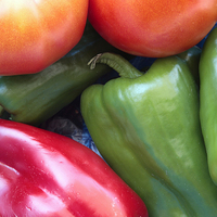 Buy canvas prints of Fresh Peppers and Tomatoes by Steve Outram